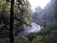river